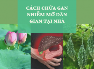 Mẹo chữa gan nhiễm mỡ bằng cách dân gian tại nhà